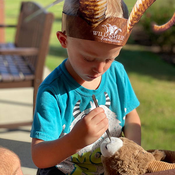 Young boy using the WSF SHEEP kit